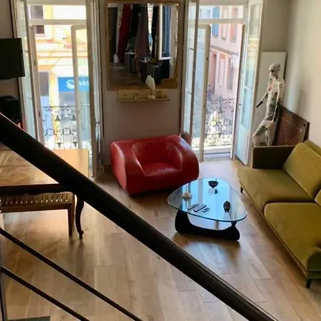 Appartement Bel Atypique Quartier St Cyprien