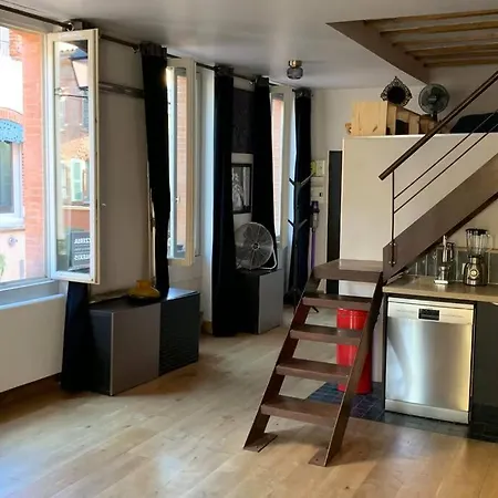 Bel Atypique Quartier St Cyprien Appartement