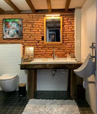 Bel Atypique Quartier St Cyprien Appartement *